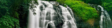 Coorg Tour Packages